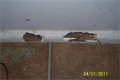 Termite Bundaberg
